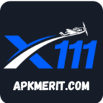 x111 Game